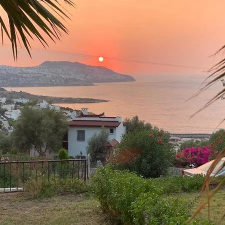 Gundogan For Rent Clup Sunset