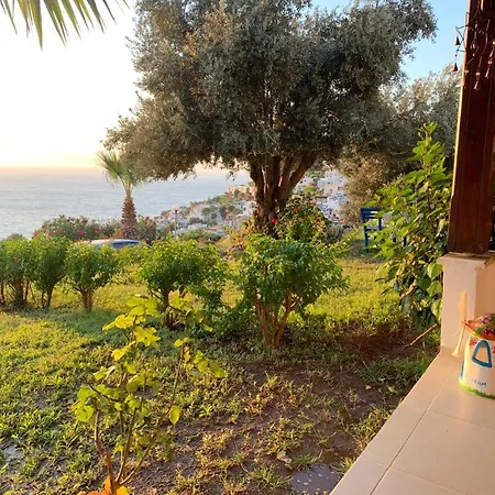 Gundogan For Rent Clup Sunset
