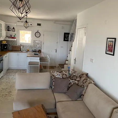 Gundogan For Rent Clup Sunset *