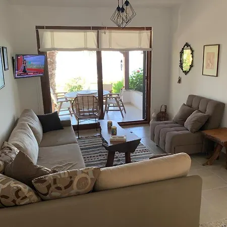Gundogan For Rent Clup Sunset *