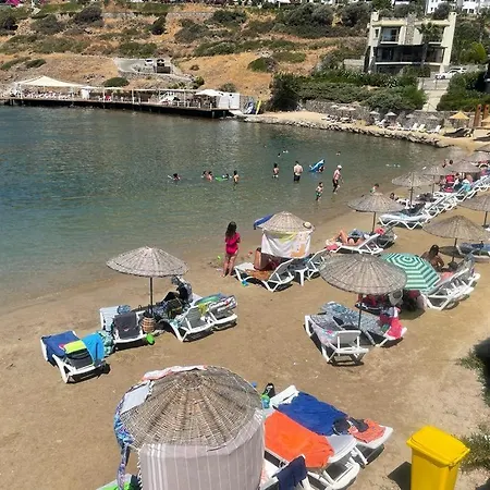 Gundogan For Rent Clup Sunset